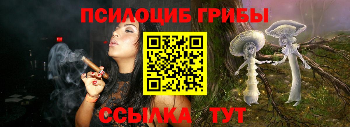 Галлюциногенные грибы Magic Shrooms Гурьевск